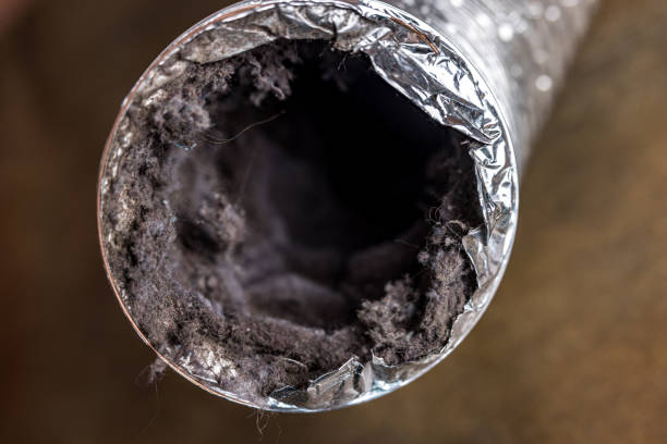 Best Air Vent Cleaning Services  in Kelly Ridge, CA