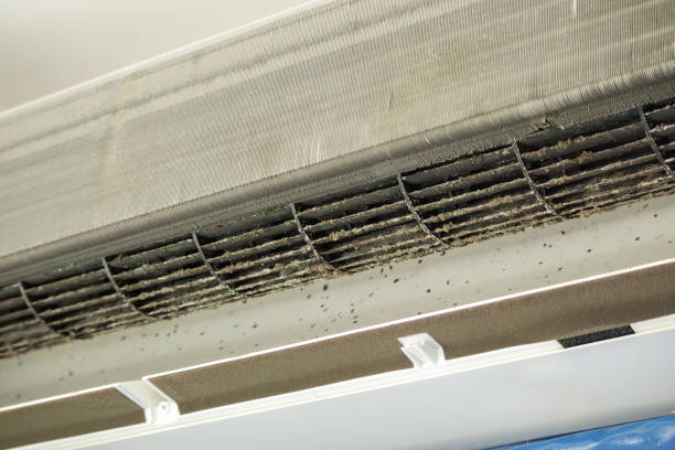 Best Professional Duct Cleaning Services  in Kelly Ridge, CA